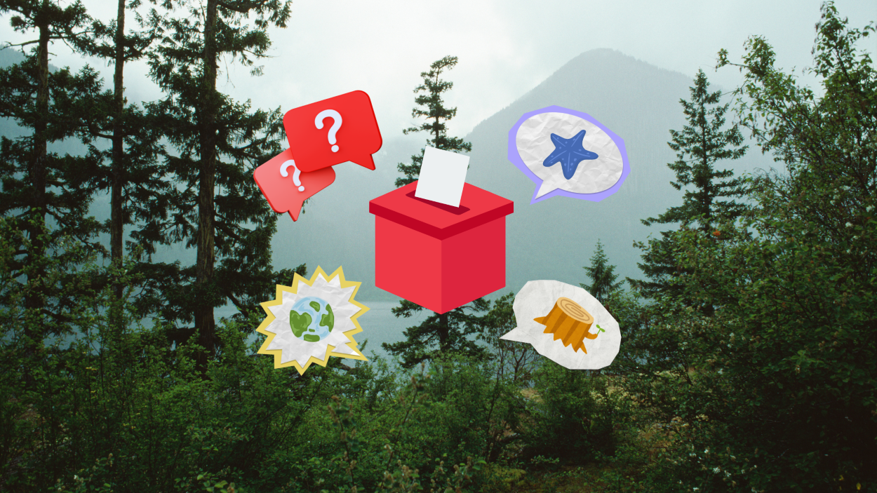 Graphic illustration with a ballot box and speech bubbles on forest image background