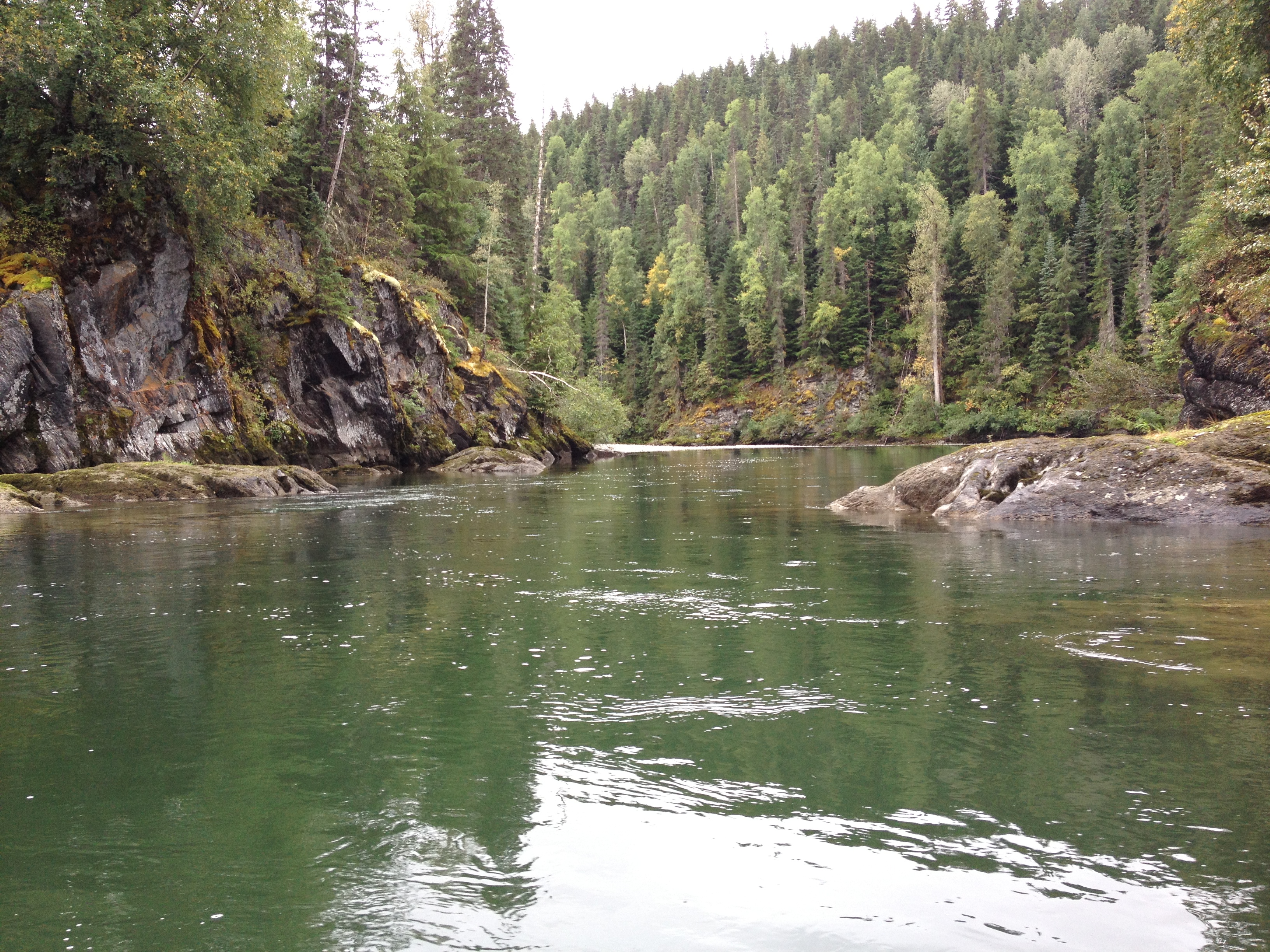 Kispiox River (Photo: Jessica Clogg)