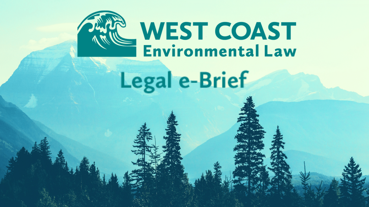 subscribe-to-west-coast-s-legal-e-brief-newsletter-west-coast