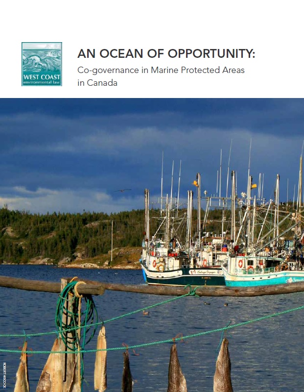 an-ocean-of-opportunity-co-governance-in-marine-protected-areas-in