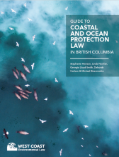 Ocean Law Guide - Cover Image (aerial of ocean wildlife/herring spawn)