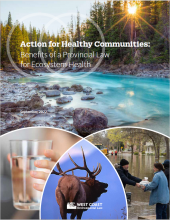 Action for Healthy Communities paper cover