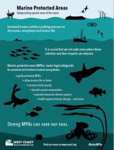 Infographic: Marine Protected Areas | West Coast Environmental Law